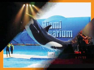 Recreation and entertainment in Miami