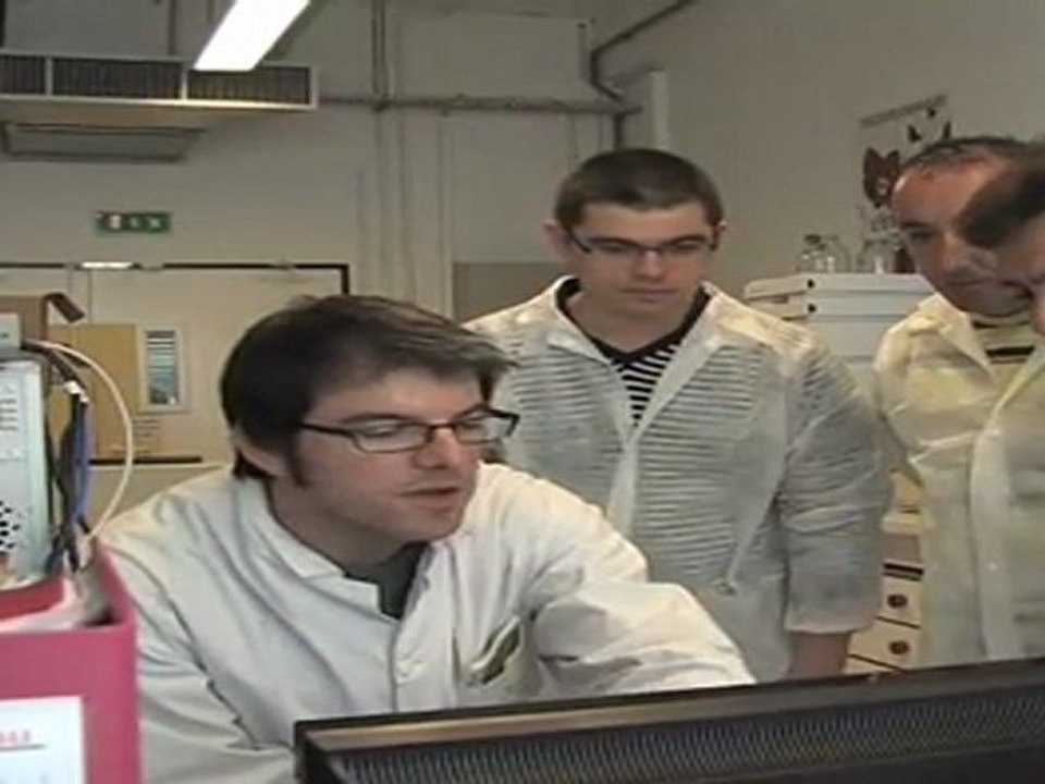 Formation spécialiste collage 516-01 par l'institut du collage