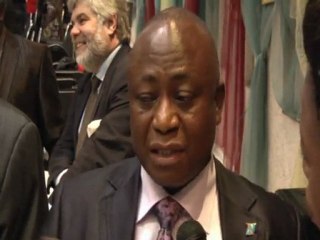 Présentation du livre "Regards sur la RDC" à l'Ambassade de la RDC à Bruxelles