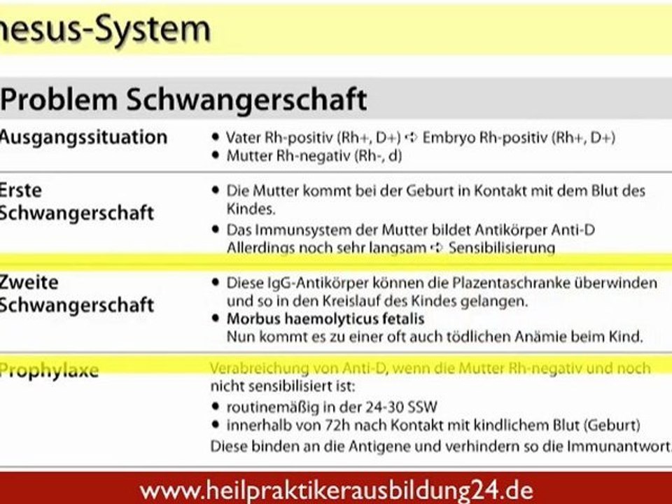 Die Blutgruppen - Teil 3