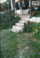 הצעה למקום מפגש