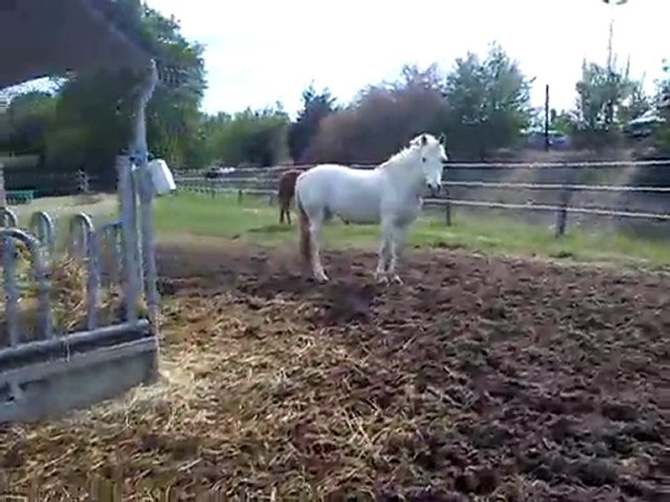 Mimi en mode "tu m'attrapera pas"