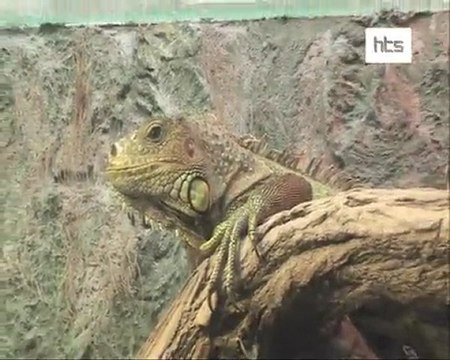 189 emisja Sroda 13.04.2011 czesc 6