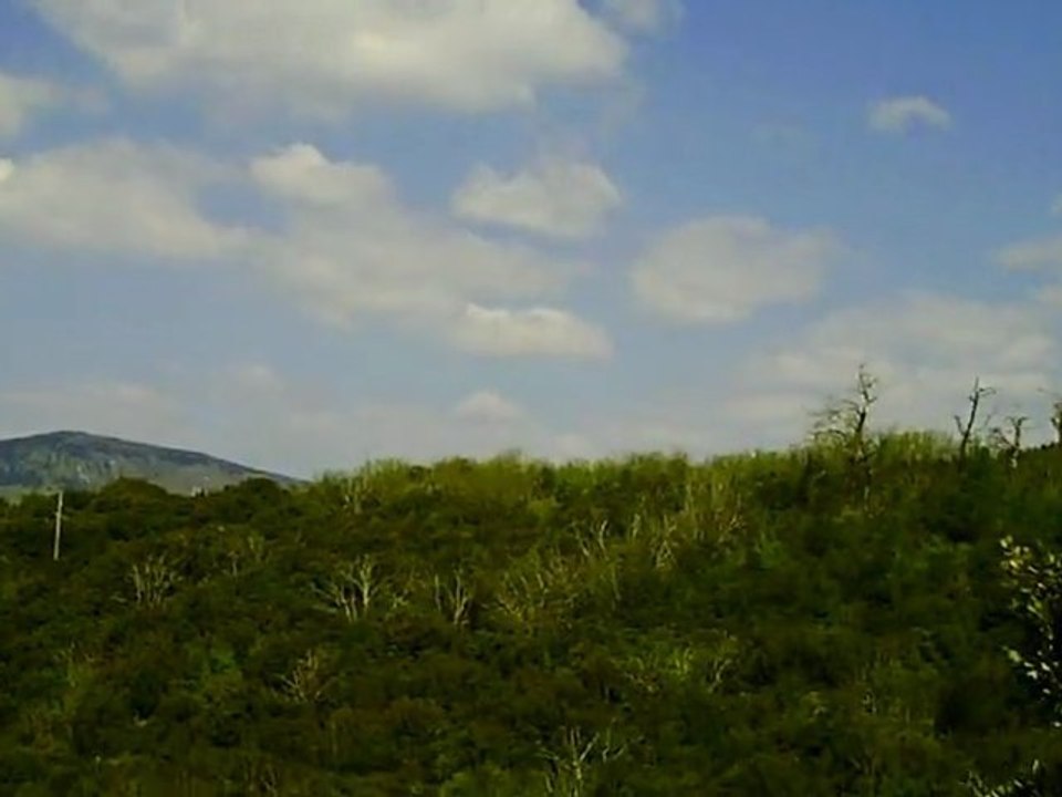 Paysage