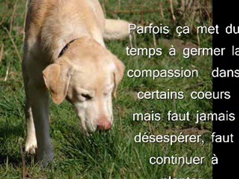 Plutôt, petit Jardinier de l'Amour vous attend au Refuge de Beauregard