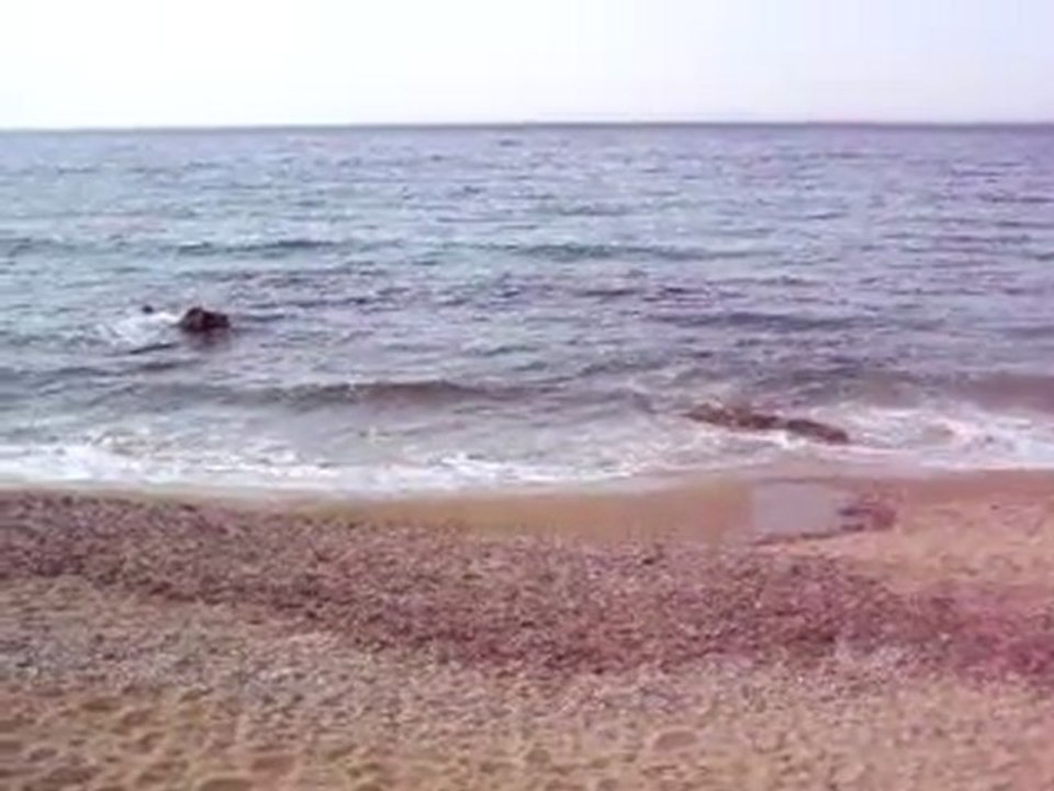 040 LA MER suite 2