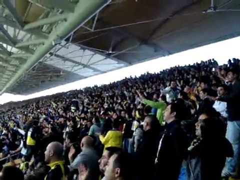 Saldırsana Kanarya - 160411