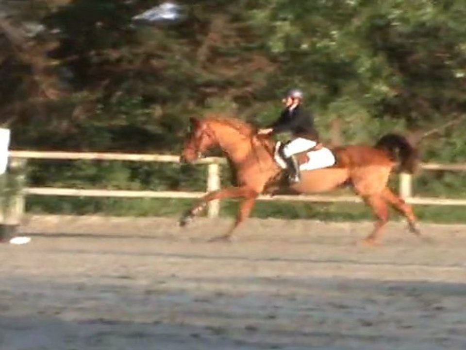 20110416084251
