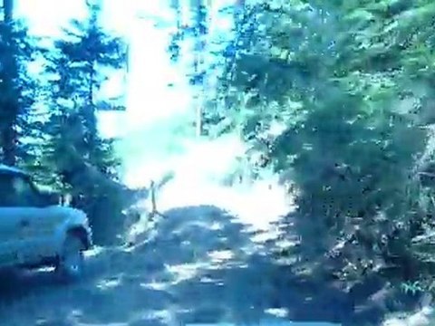 Sortie 4x4 Beaujolais 2011 Piste rapide 1030064