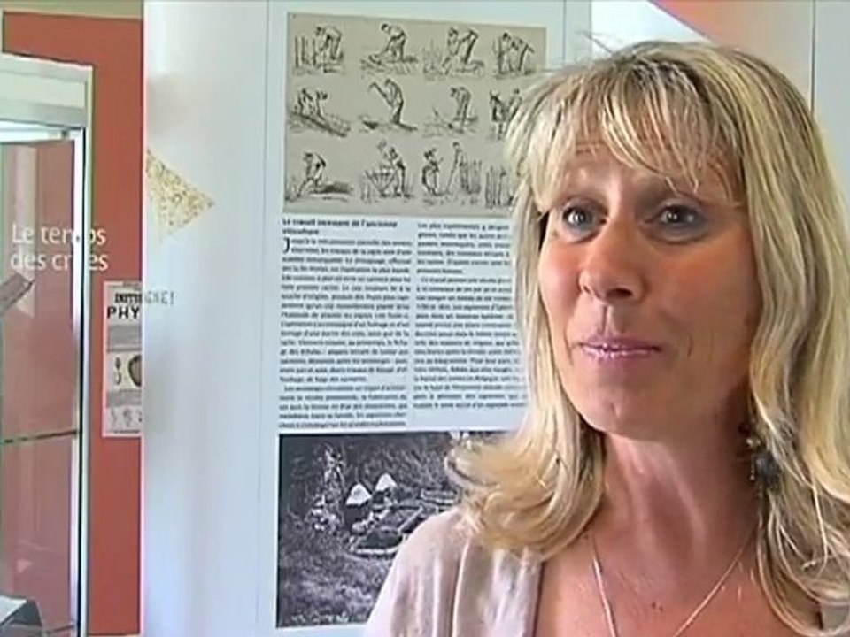 De la vigne au vin, 3 siècles d'histoire (Troyes)