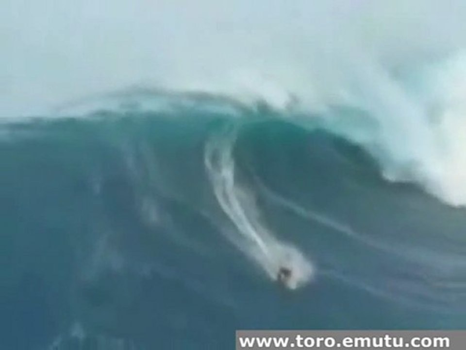 surfing big wave
