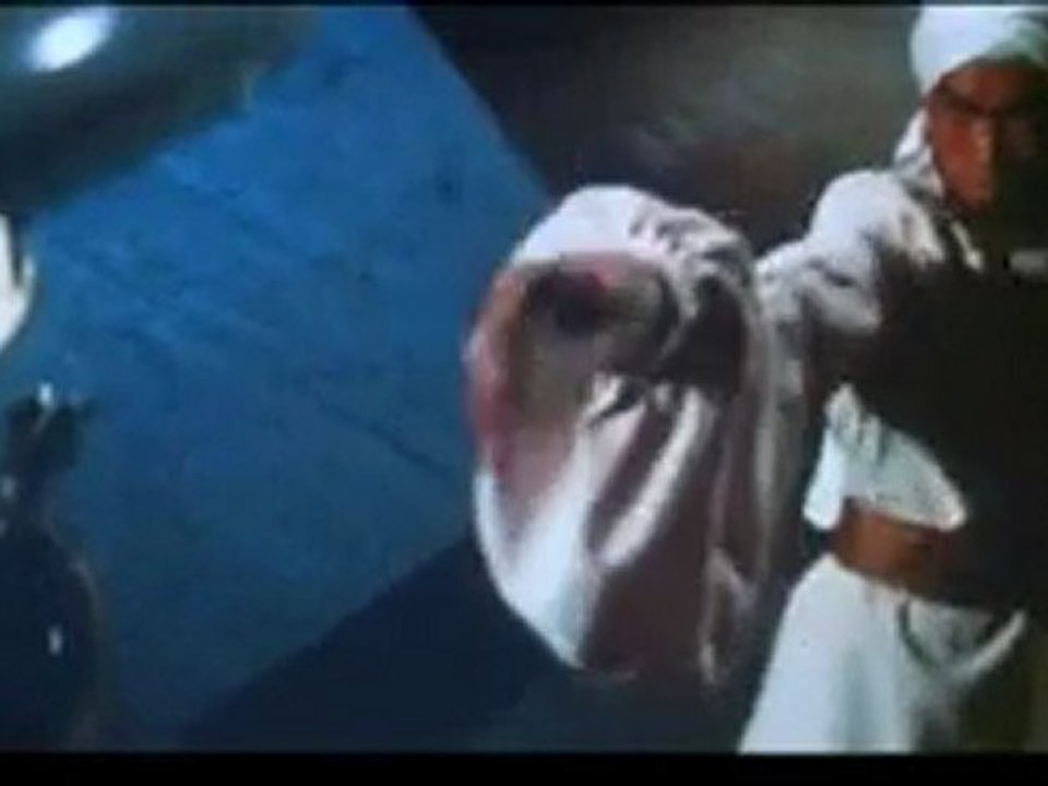 Die Fliegende Guillotine