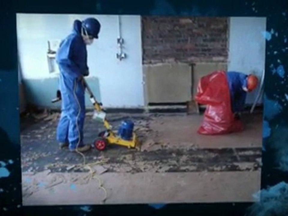 Asbestos Removal Contractors Edwardsville