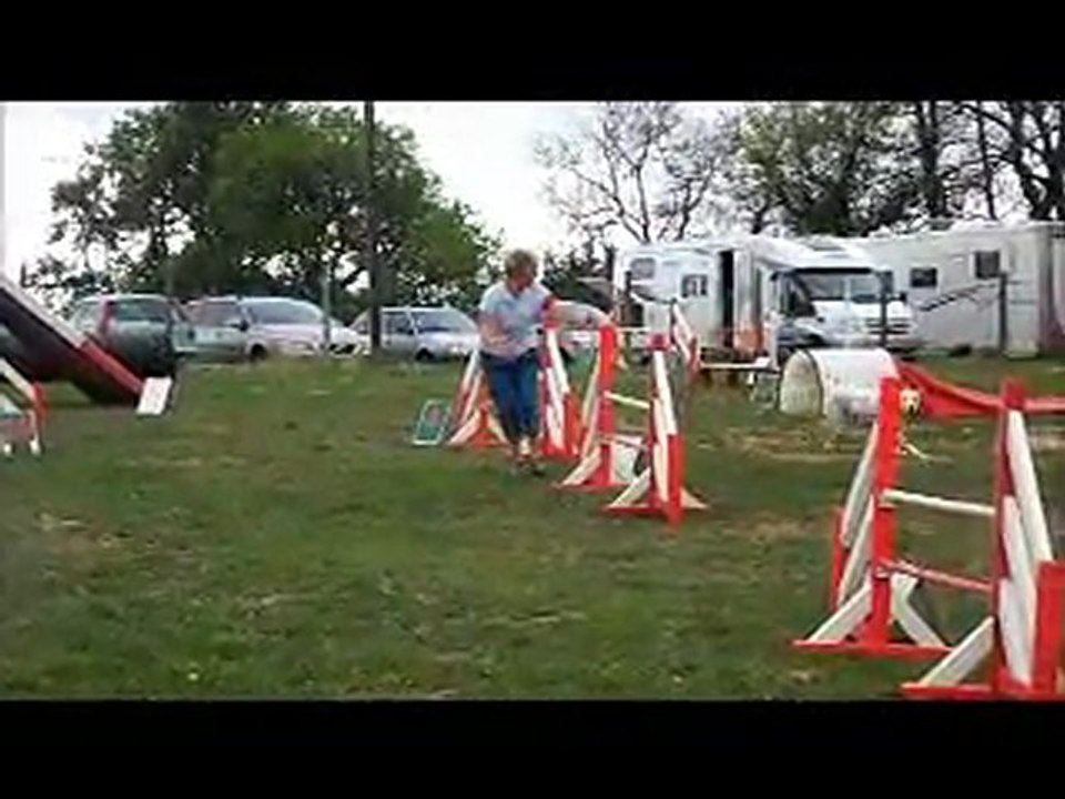 Concours agility tresses 10 avril 2011 Vicky du canis club pessacais illacais