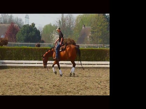 Whistle reining&classique avril 2011
