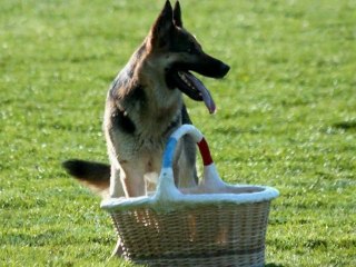 Aika 1er Sélectif 2011