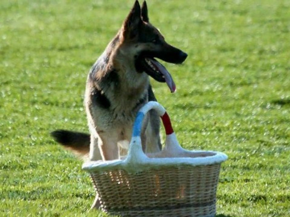 Aika 1er Sélectif 2011