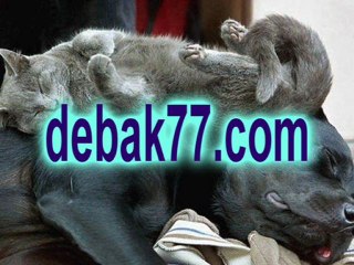 ╋━DEBAK77.COM☆테이블게임☆게임사이트☆온라인신천지☆신천지게임