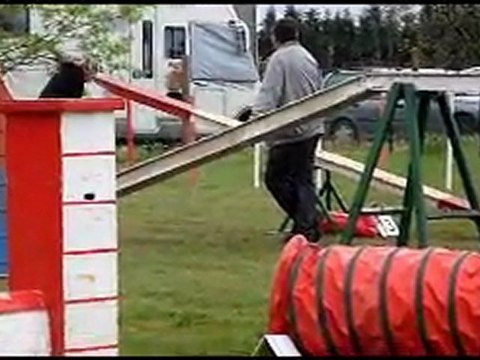 Concours d'agility a tresses 10 avril 2011 arthur du canis club pessacais illacais