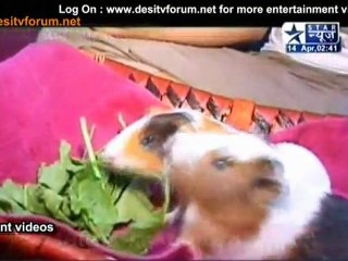 Peehu Ke ''Gabbar - Basanti'' Ki Jodi