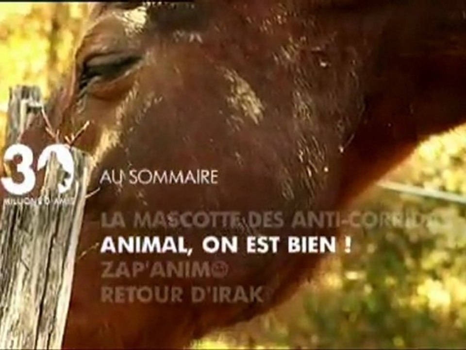 Sommaire émission 30 Millions d'Amis du 17 04 11