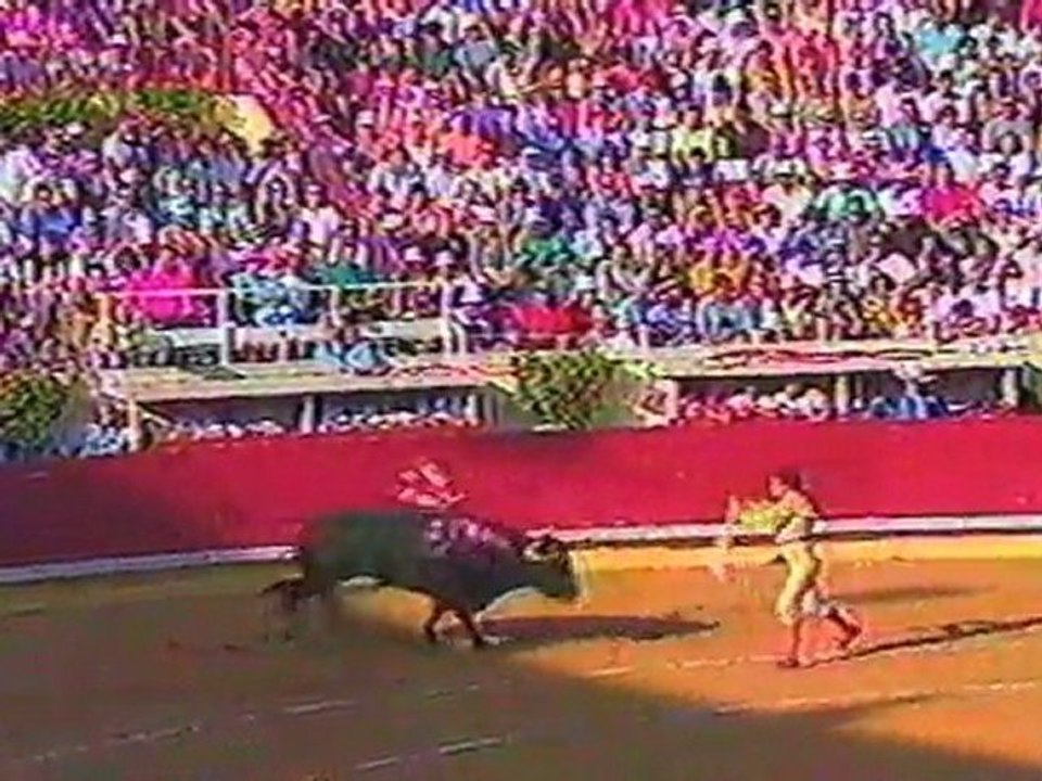 LA CORRIDA - OMBRES ET LUMIERES