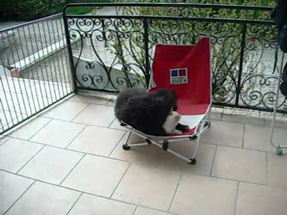 13 avril 2011 : Furia 3 mois et Farine 6 mois