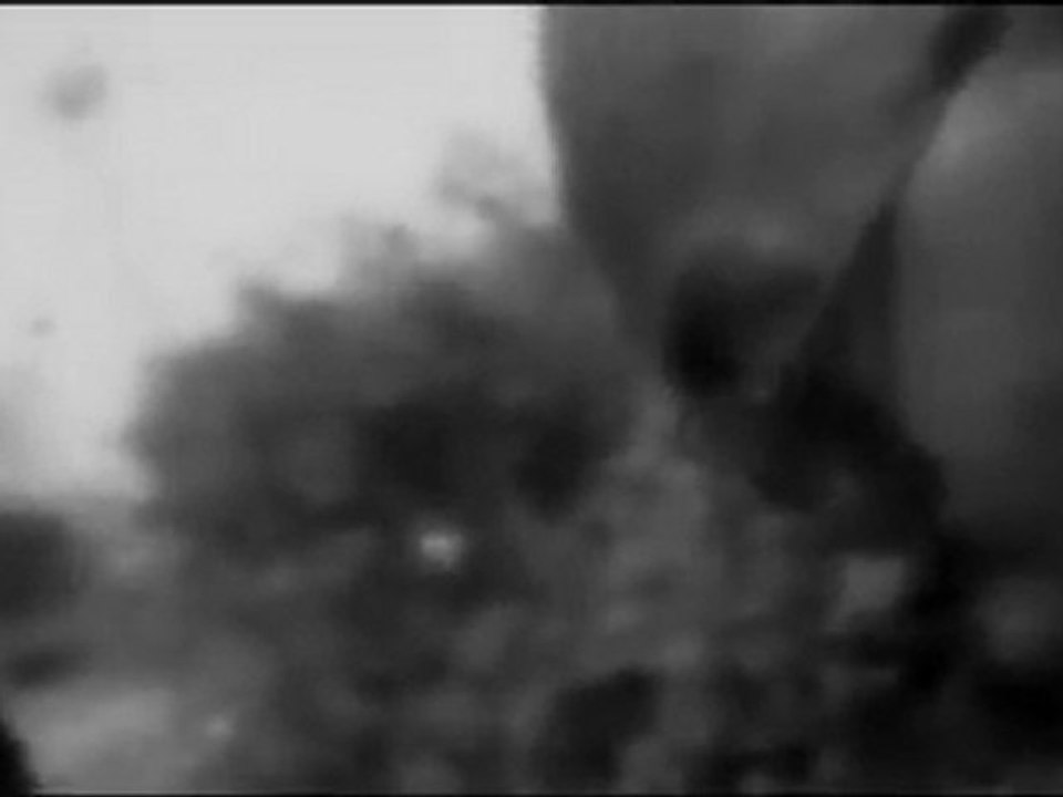 mamad  malfra saboss tetonne pas