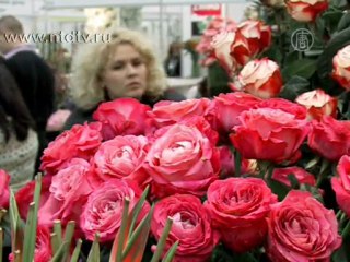 Синие орхидеи и невянущие розы представили в Киеве