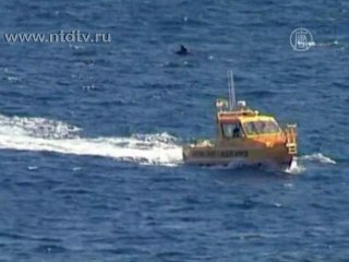 «Аделаида» ушла на дно, чтобы привлекать дайверов