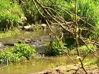 La sècheresse du printemps (Vendée)