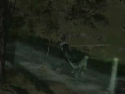 Странные существа,заснятые камерой наблюдения(strangeworlds.at.ua)