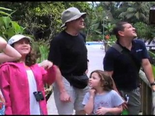 Costa Rica Vacation Video - Tauck Bridges