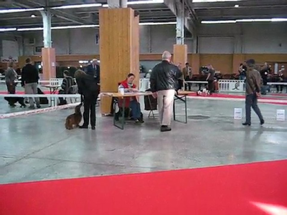 Le Bourget Raveur
