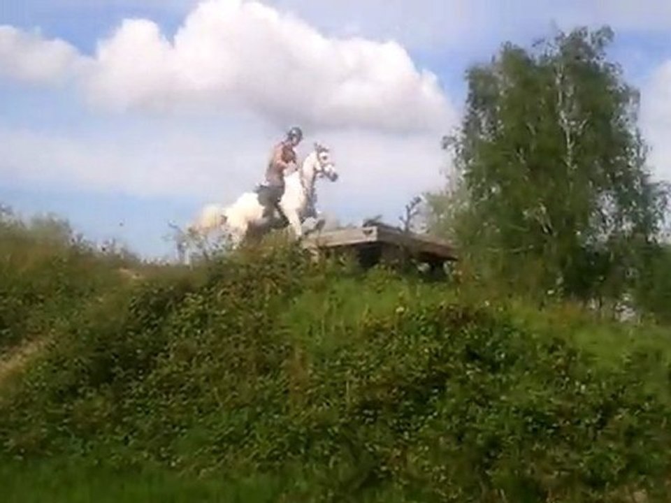 Paladin des Graves - CROSS