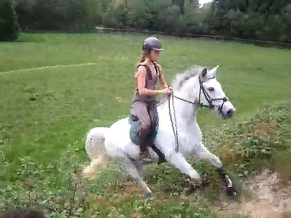 Paladin des Graves - CROSS 3