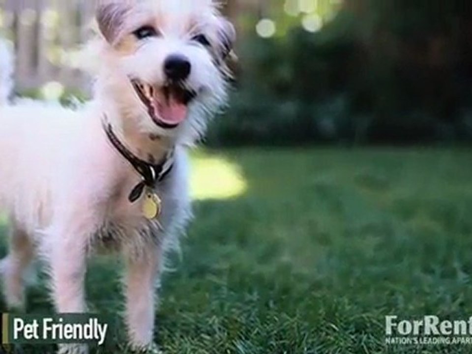 Chapel Ridge of Blue Springs Apartments in Blue ...