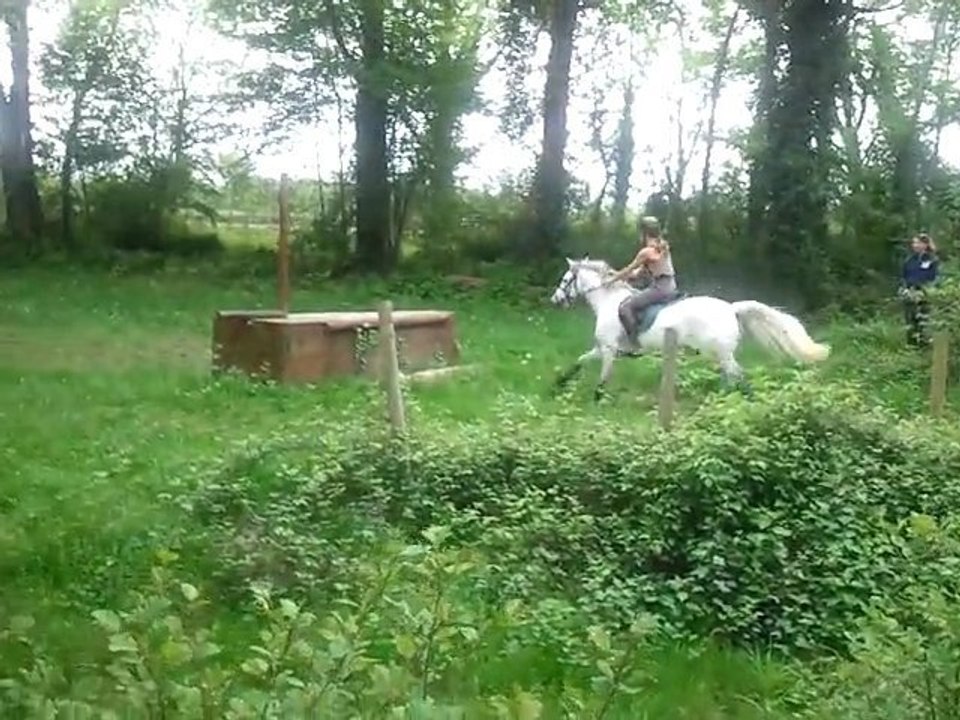 Paladin des Graves - CROSS 6