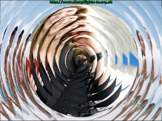 cheap flight to california from toronto