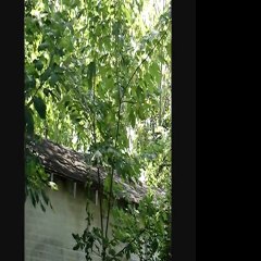 Beauregard Bathroom Suite Montage - Friendly Home Services Baton Rouge