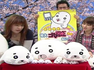 sakusaku 110415 4 少年アシベ スーパーDXゴマちゃんぬいぐるみクッション編