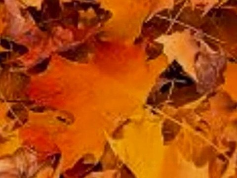 sesliortami sesliortami.com yanımda sen olmayınca kıvırcık ali