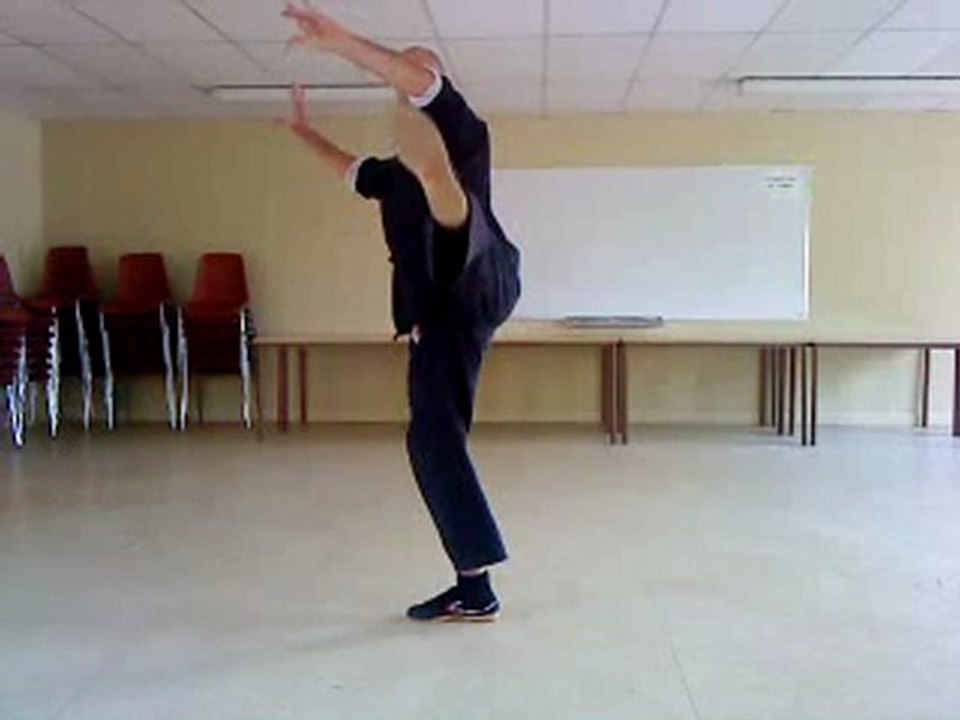 tai chi yang (ecole de brive tulle objat en correze) franck ferriere