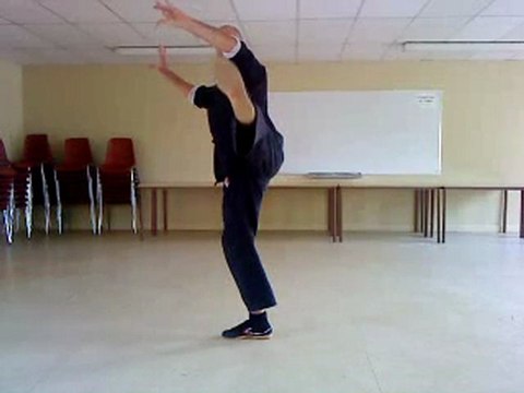 tai chi yang (ecole de brive tulle objat en correze) franck ferriere