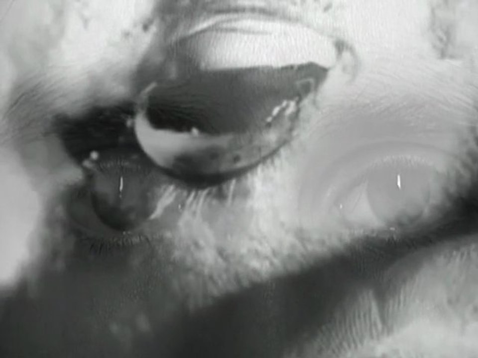 Angle Mort - Autoportrait