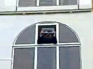 0194 - Le patron pète un cable