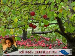 Kashmir , Best Holiday Destination In India