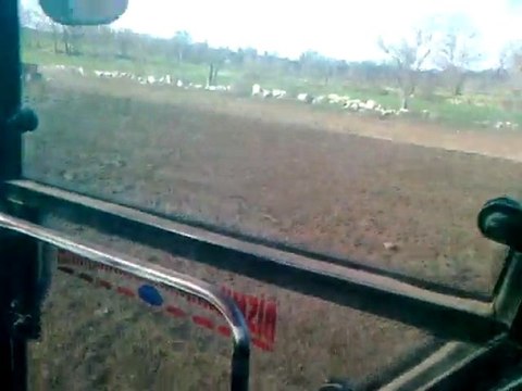 70-66 nohut ekiminde