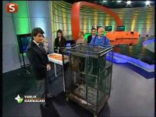 MAYMUN, VATAN ŞAŞMAZ'IN MENDİLİNİ KAPINCA...