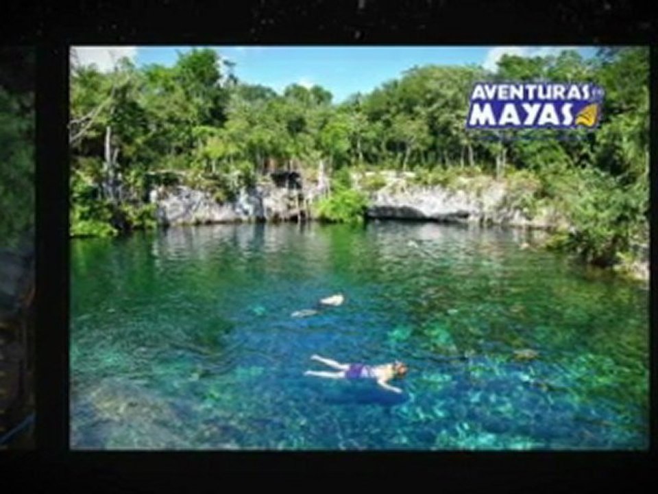 Riviera Maya Mexico Snorkeling Tours